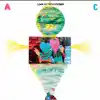 Love On the Big Screen - Animal Collective