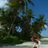 UYUNI - Rels B