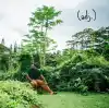 Pluto - Ark Woods
