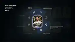 Ultimate Team Ultimate Team