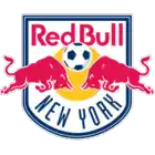 NY Red Bulls Badge